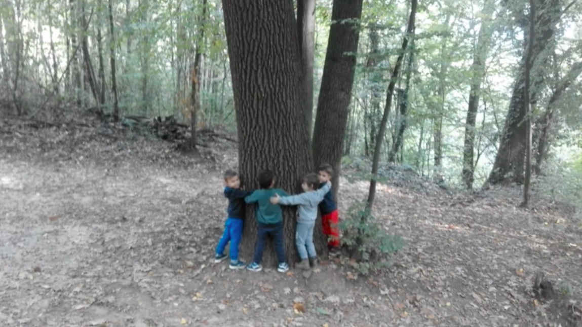 amiotti-1-abbraccio-alberi